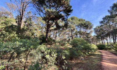 Terreno en Punta Ballena, Club del Lago