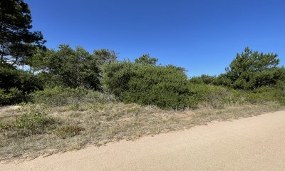 Terreno en Punta Ballena, Chihuahua