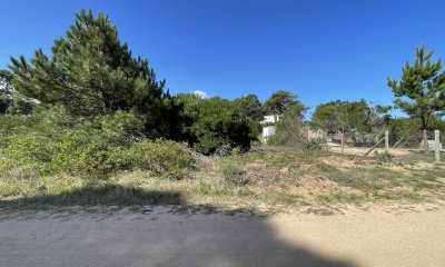 Terreno en Punta Ballena, Chihuahua