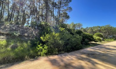 Terreno en Punta Ballena, Chihuahua
