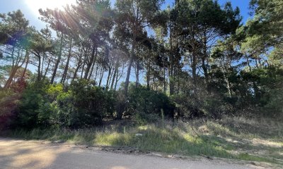 Terreno en Punta Ballena, Chihuahua