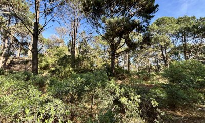Terreno en Punta Ballena, Club del Lago