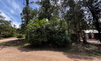 Terreno en Punta Ballena, Sauce de Portezuelo