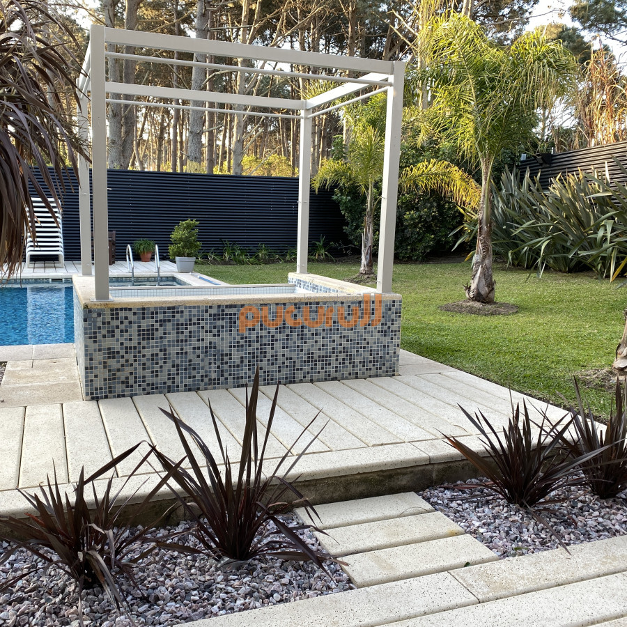 Chihuahua - GoPunta - Portal Inmobiliario de Punta del Este - Maldonado