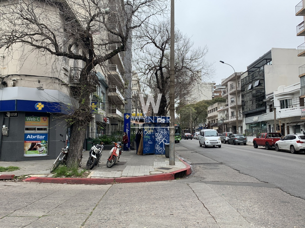 Local Comercial ID.3035 - Local con renta , Punta Carretas 