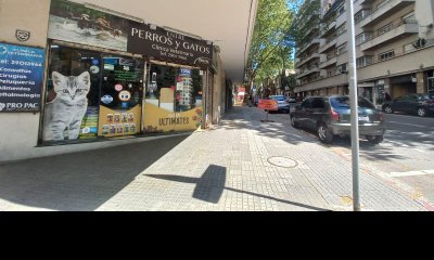 Venta , local comercial con renta