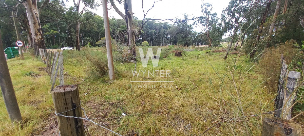 Terreno de 10.253 m2 con frente a dos calles - WNT1653T