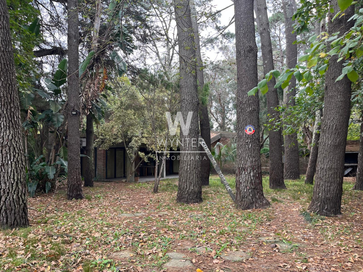 San Rafael - GoPunta - Portal Inmobiliario de Punta del Este - Maldonado