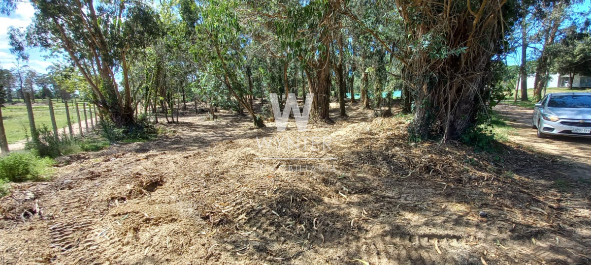 Terreno ID.5528 - Terreno en venta - 6.601 m2 