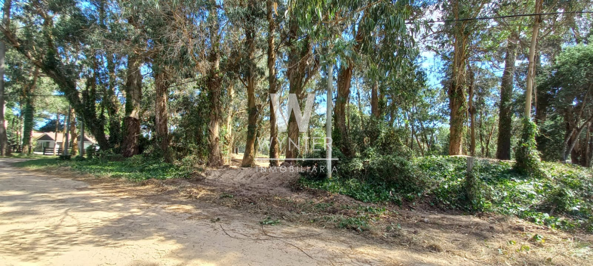 Terreno ID.5528 - Terreno en venta - 6.601 m2 