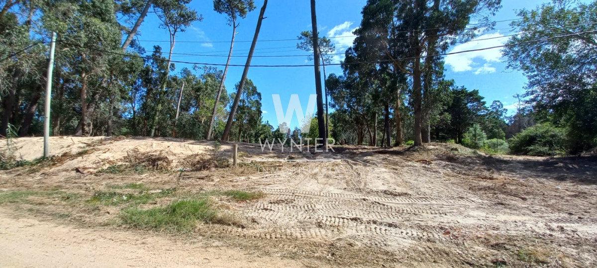 Terreno ID.5528 - Terreno en venta - 6.601 m2 
