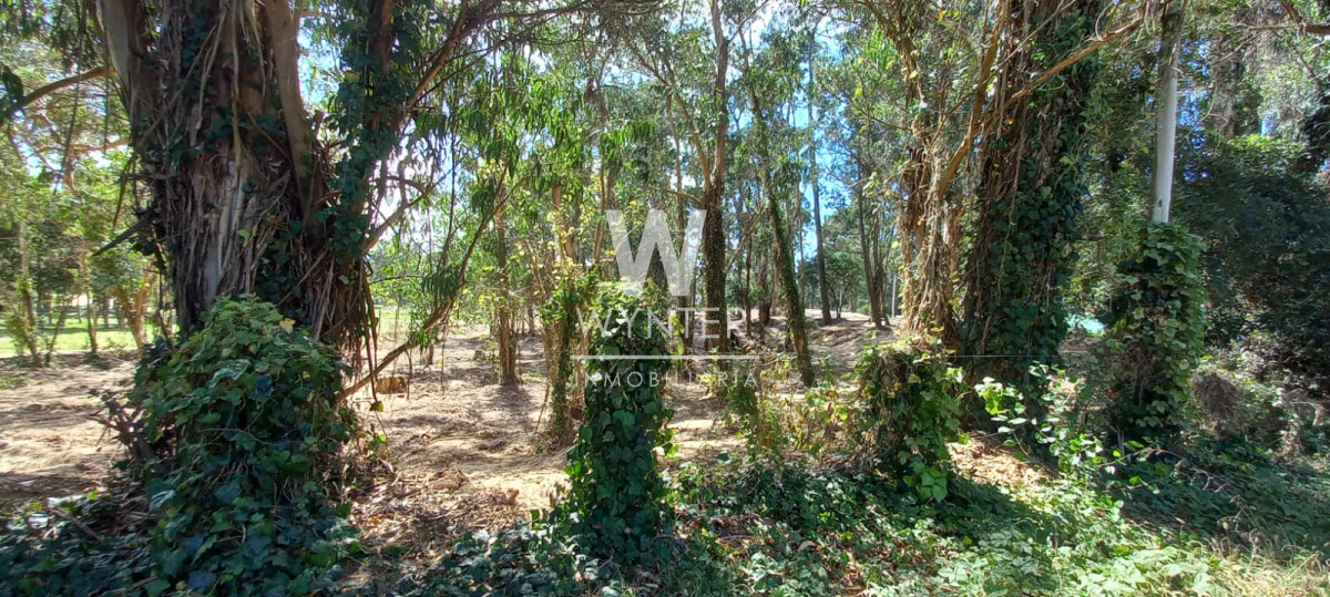 Terreno ID.5528 - Terreno en venta - 6.601 m2 