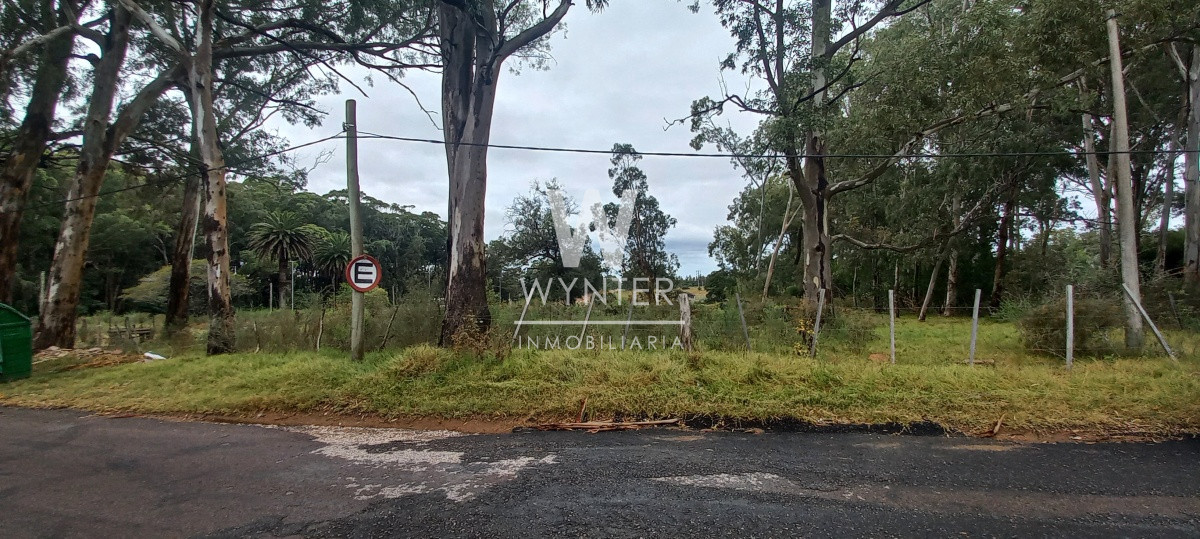 Terreno ID.1653 - Terreno de 10.253 m2 con frente a dos calles