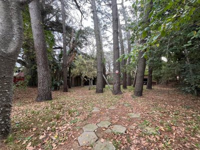 Terreno en venta apto para construir bloque bajo