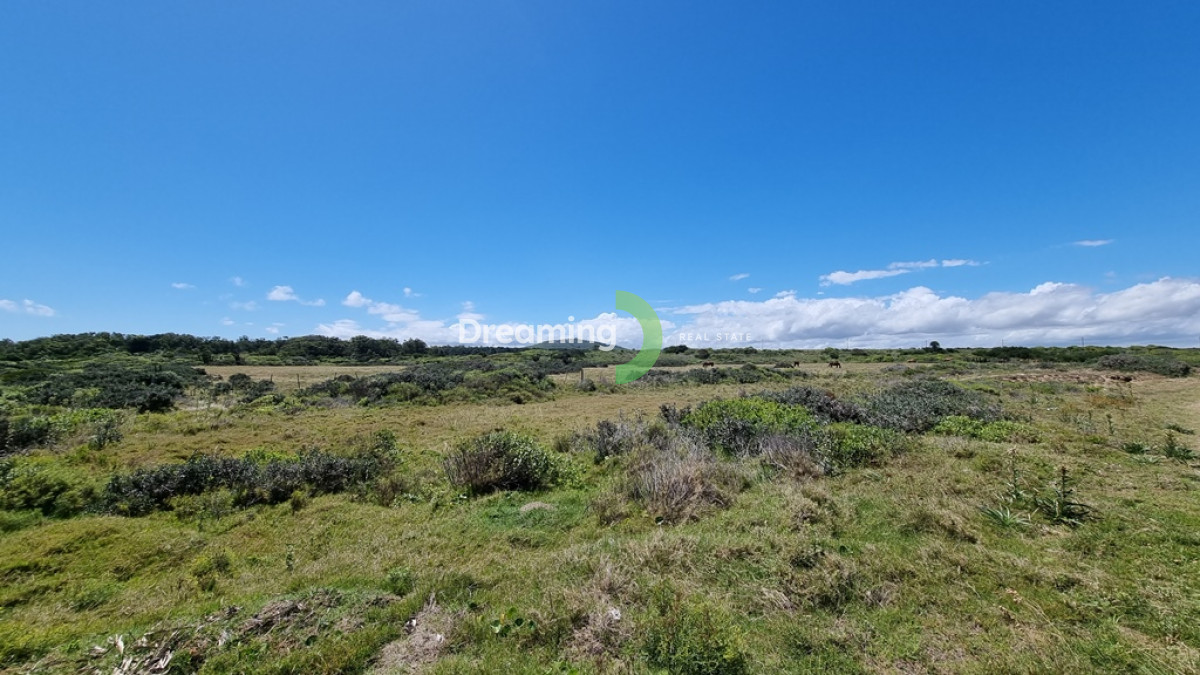 Chacra ID.3 - Chacra en Venta de 43 Has Frente al Mar en Punta Negra, Piriapolis