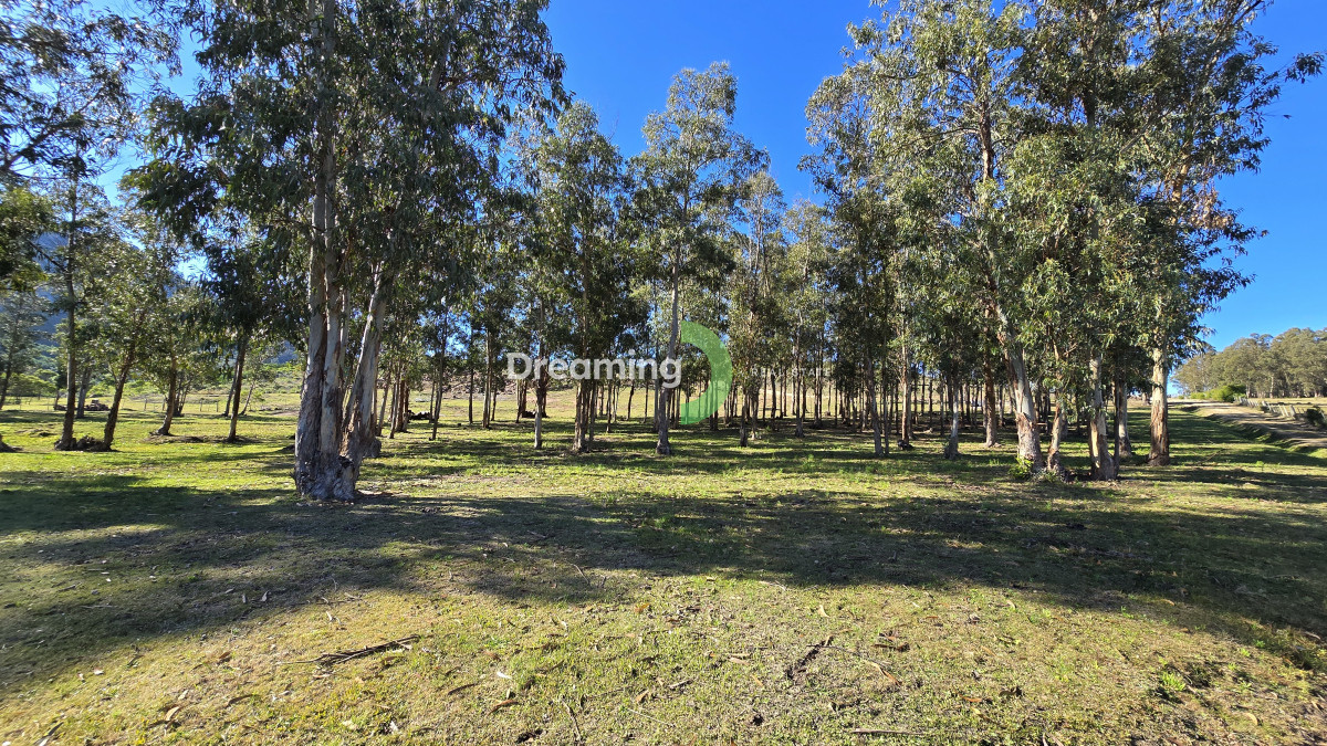 Chacra ID.6 - Venta de Chacra con Vistas Panorámicas A Los Cerros y Mar en Piriapolis - EL ENCANTO