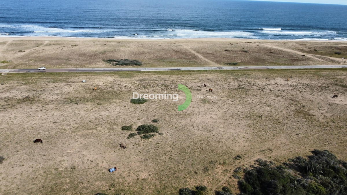Chacra ID.3 - Chacra en Venta de 43 Has Frente al Mar en Punta Negra, Piriapolis