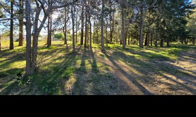 Venta de Terreno en Zona Alta de Punta Colorada, Piriapolis - SUPERFICIE DE 1000M