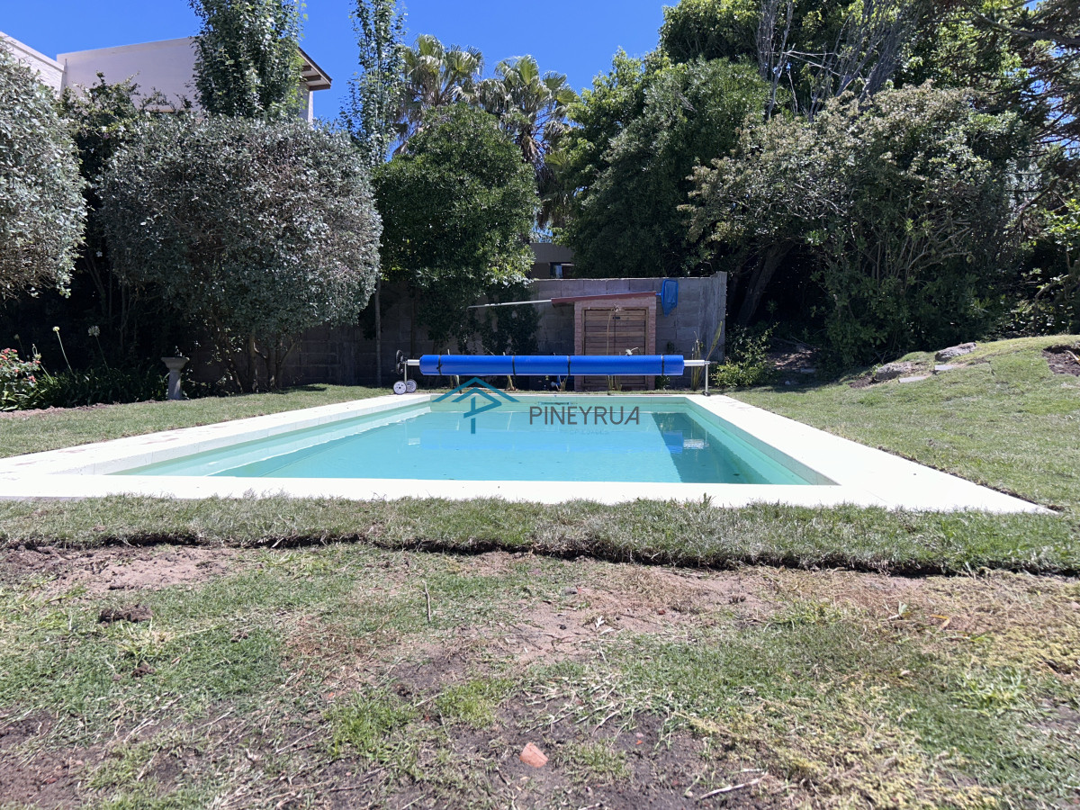 La Tortuga de Montoya 