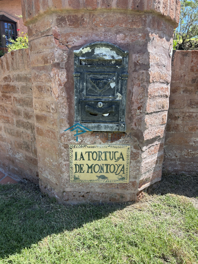 La Tortuga de Montoya 