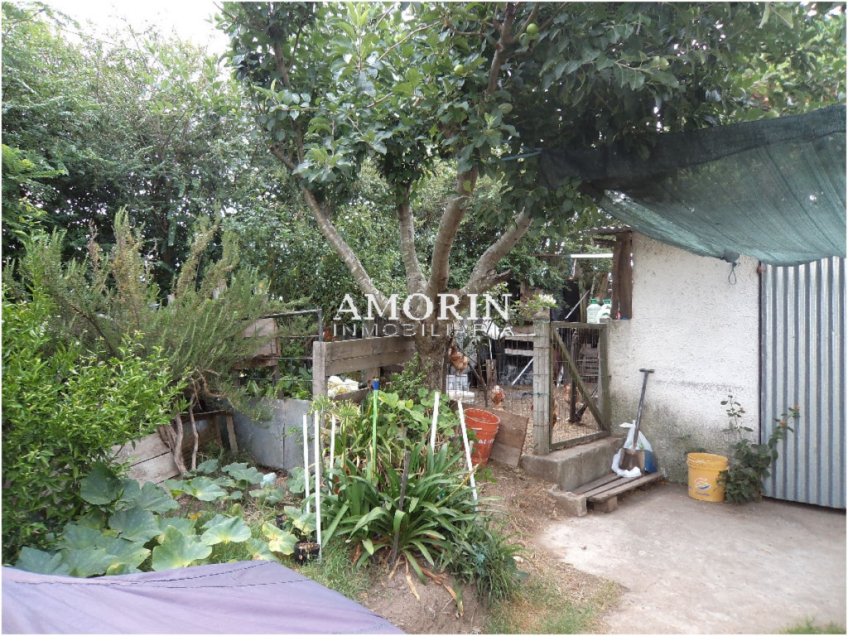 Casa ID.384 - Casa en Maldonado, Maldonado