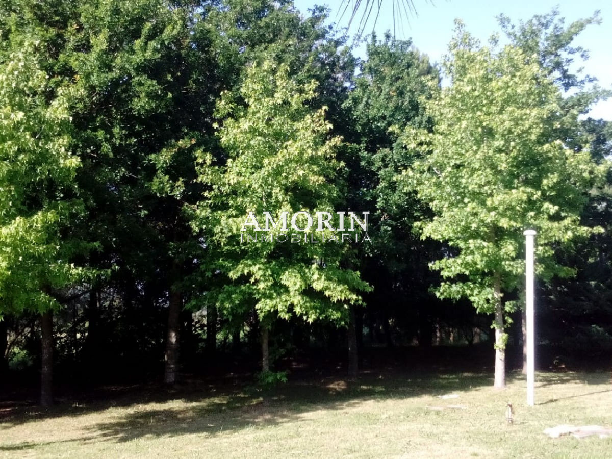 Chacra ID.552 - 