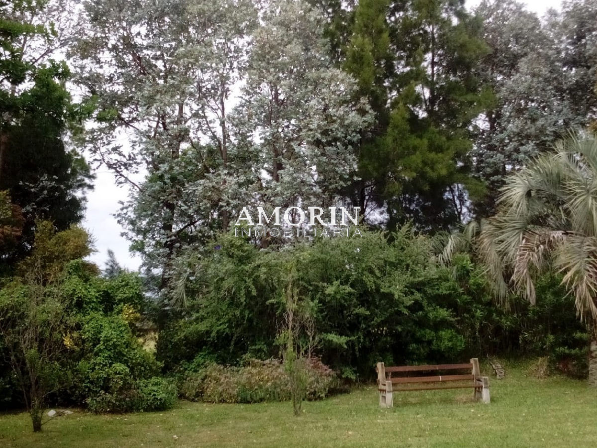 Chacra ID.552 - 