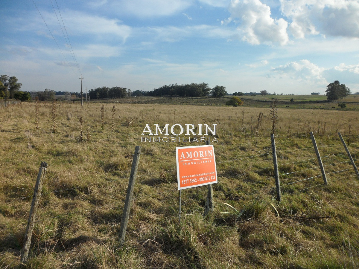 Campo Ref.599 - Campo en Jose Ignacio, 