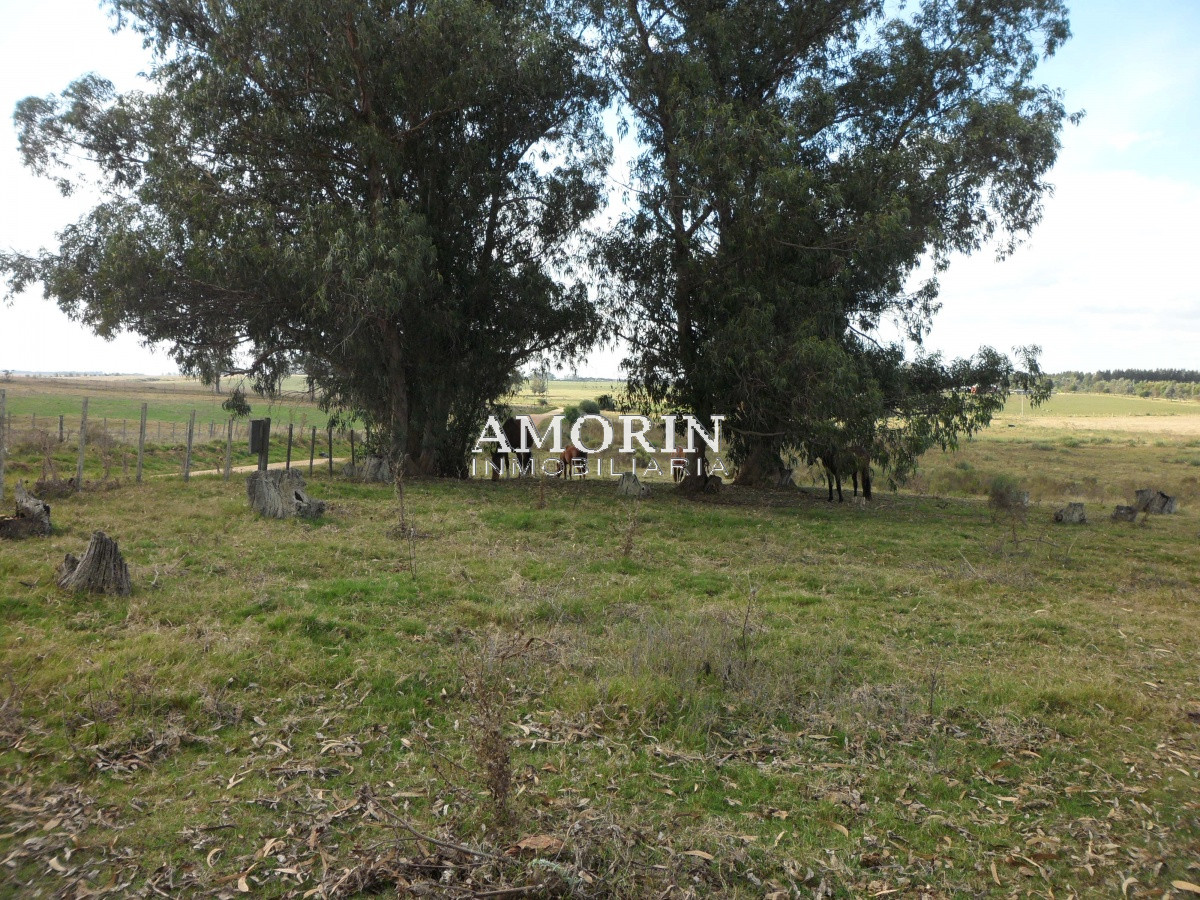Campo Ref.599 - Campo en Jose Ignacio, 