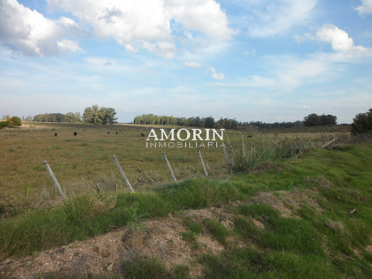 Campo Ref.599 - Campo en Jose Ignacio, 
