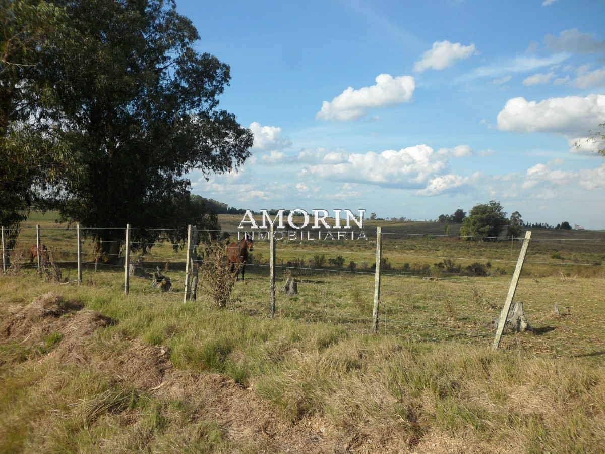 Campo Ref.599 - Campo en Jose Ignacio, 