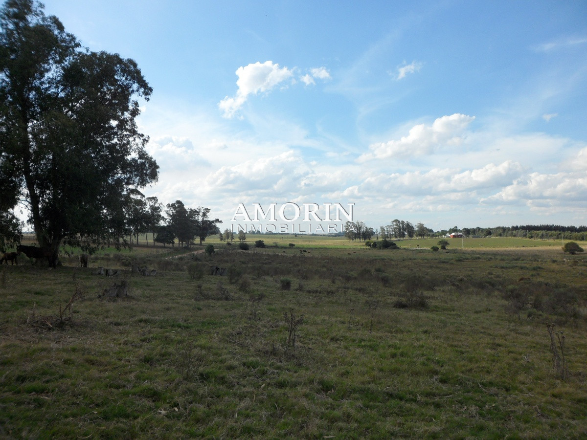 Campo Ref.599 - Campo en Jose Ignacio, 