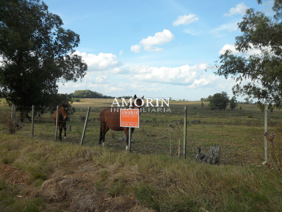 Campo Ref.599 - Campo en Jose Ignacio, 