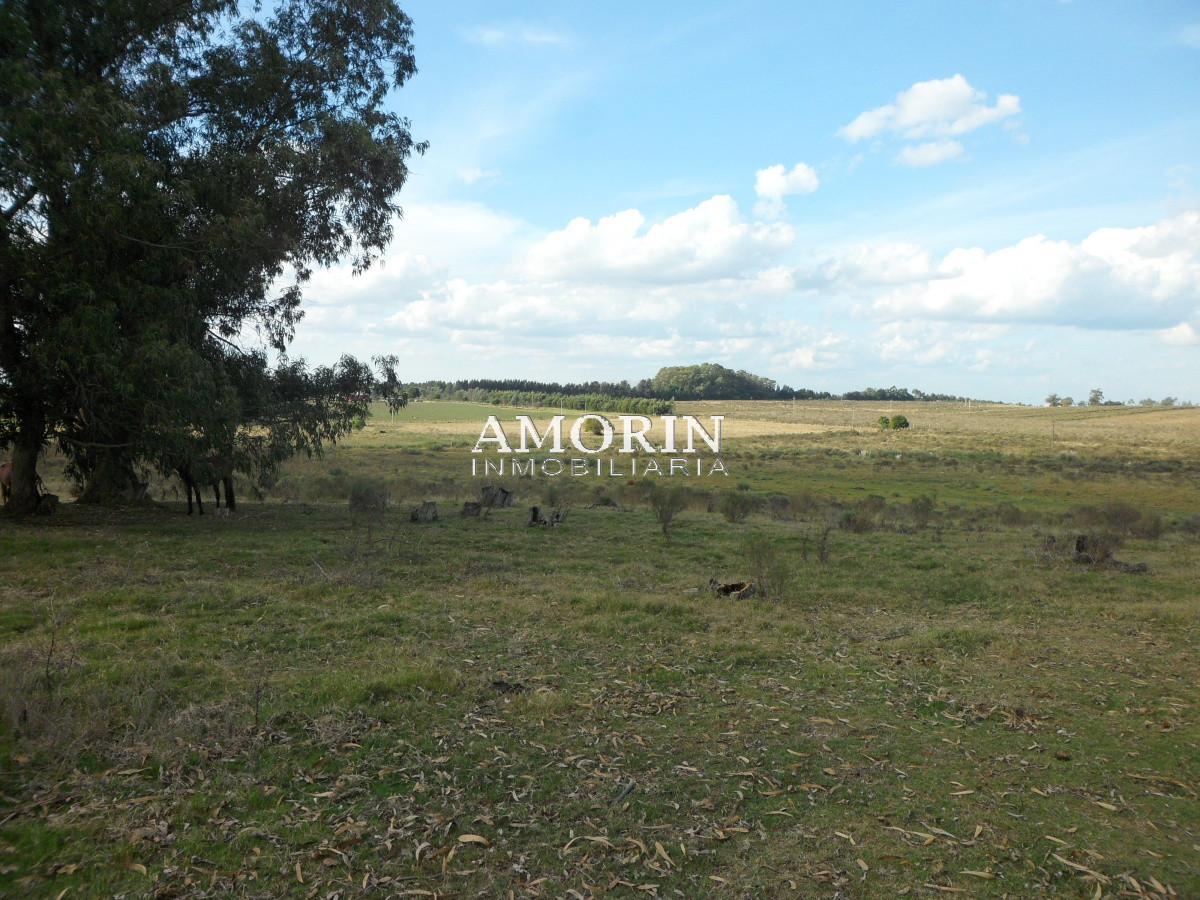 Campo Ref.599 - Campo en Jose Ignacio, 