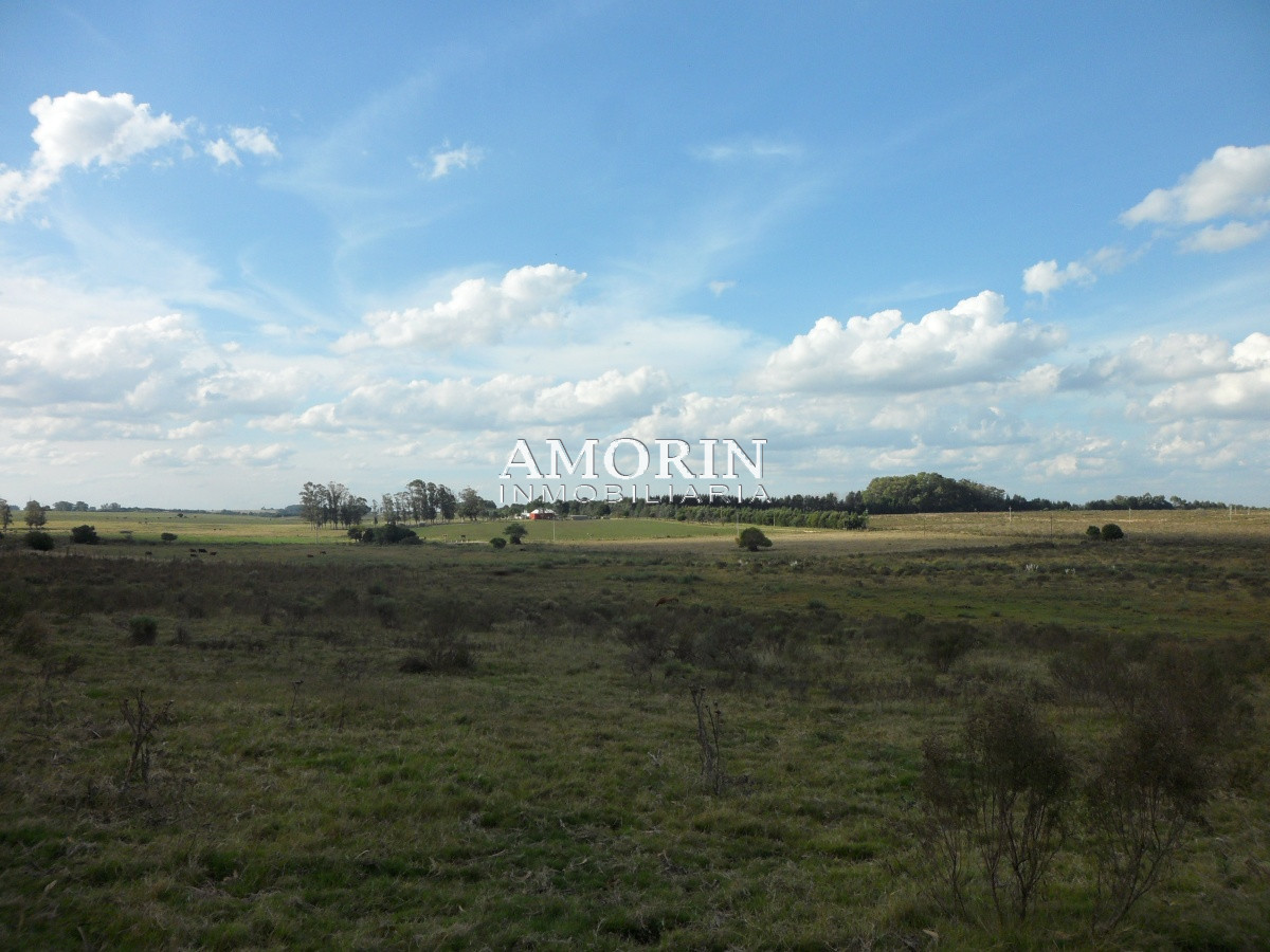 Campo Ref.599 - Campo en Jose Ignacio, 