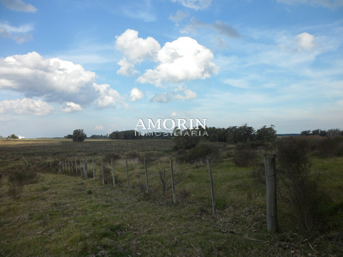 Campo Ref.599 - Campo en Jose Ignacio, 