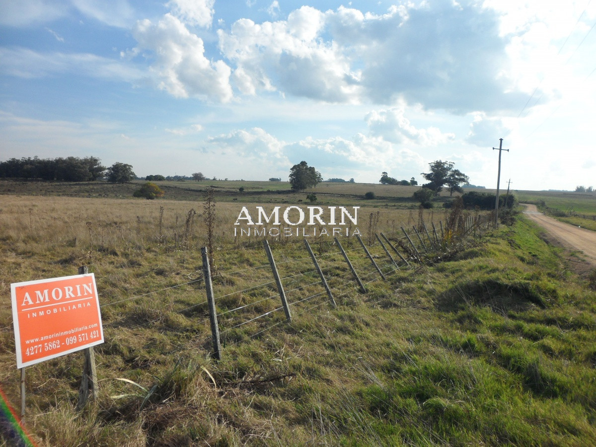 Campo Ref.599 - Campo en Jose Ignacio, 