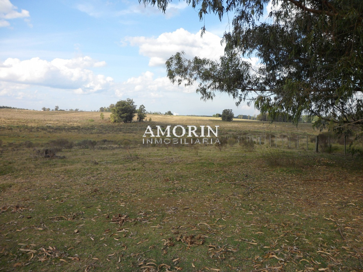Campo Ref.599 - Campo en Jose Ignacio, 