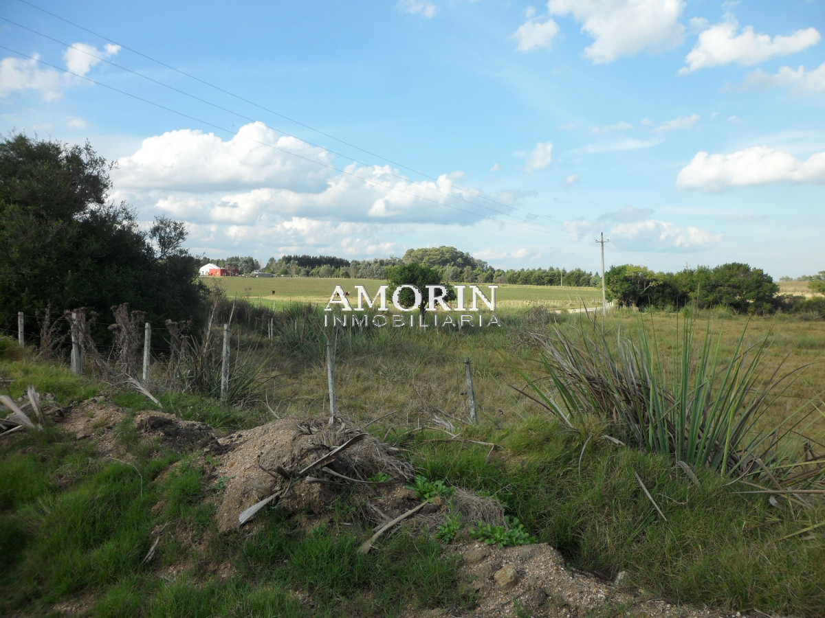 Campo Ref.599 - Campo en Jose Ignacio, 