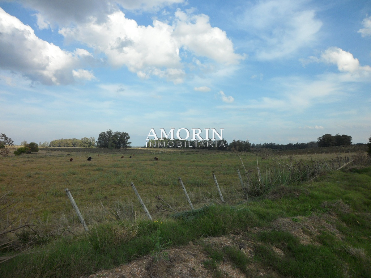 Campo Ref.599 - Campo en Jose Ignacio, 