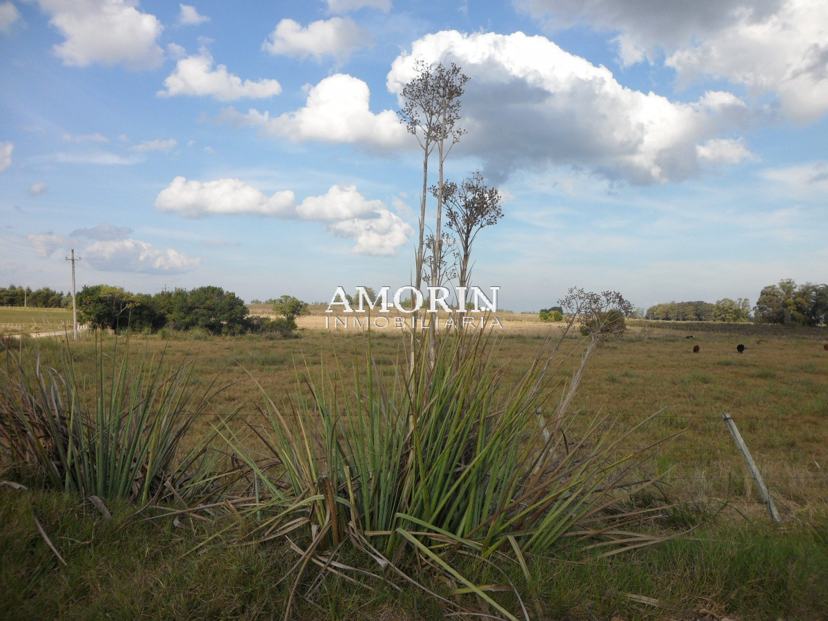 Campo Ref.599 - Campo en Jose Ignacio, 