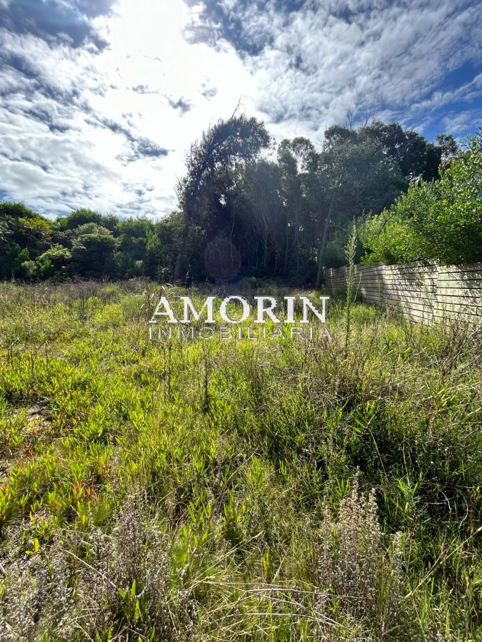 Terreno ID.793 - 3 espectaculares lotes en santa monica