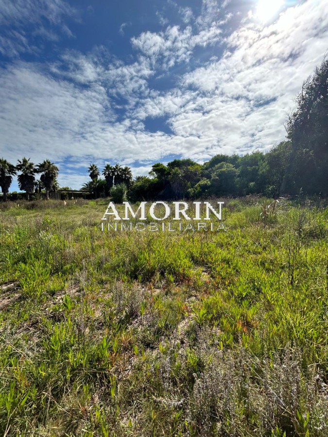Terreno ID.793 - 3 espectaculares lotes en santa monica