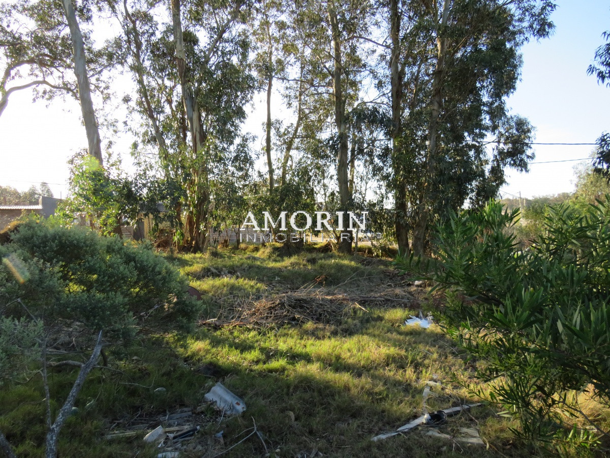 Terreno ID.608 - TERRENO BALNEARIO BUENOS AIRES