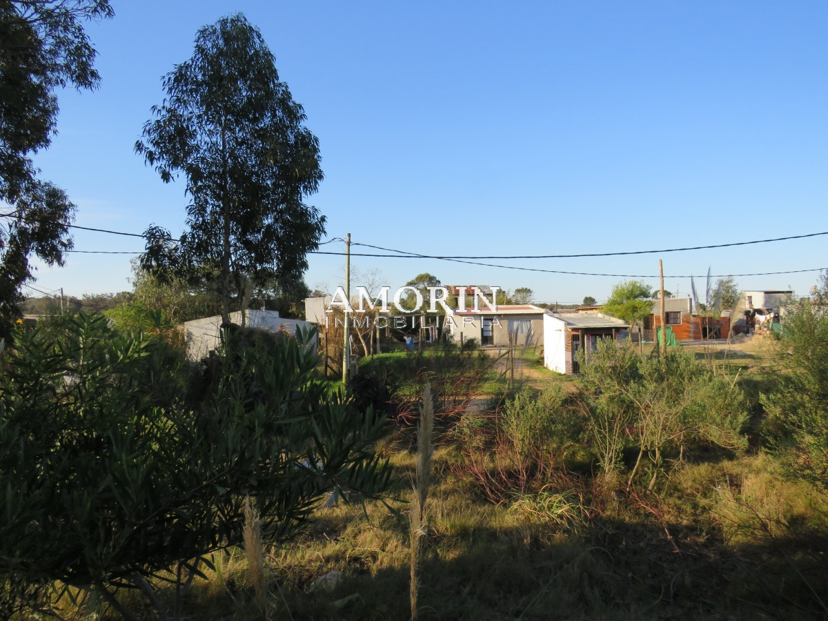 Terreno ID.608 - TERRENO BALNEARIO BUENOS AIRES