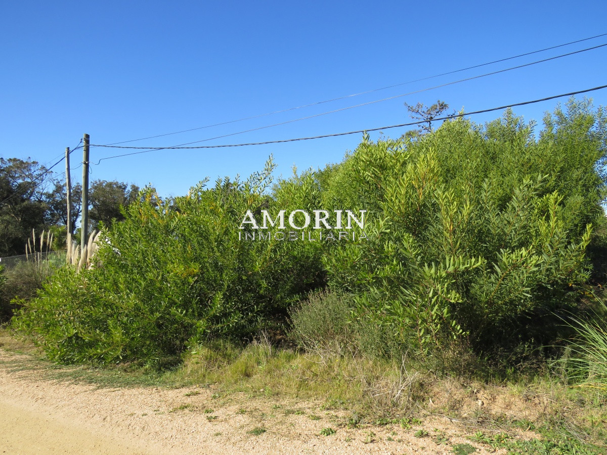 Terreno ID.593 - Terreno en El Chorro