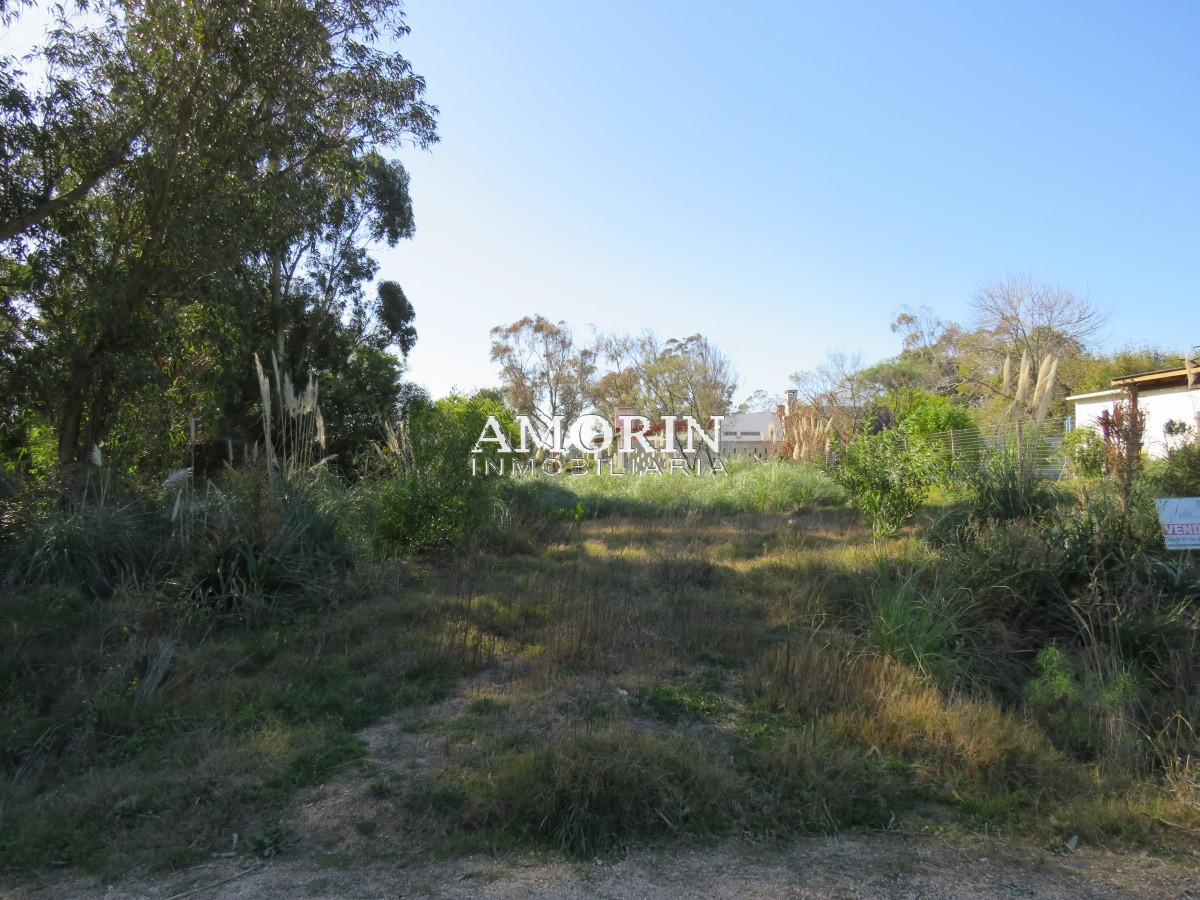 Terreno ID.594 - Terreno en El Chorro