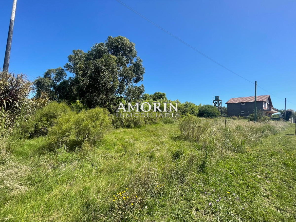 Terreno ID.785 - Terreno en El Chorro