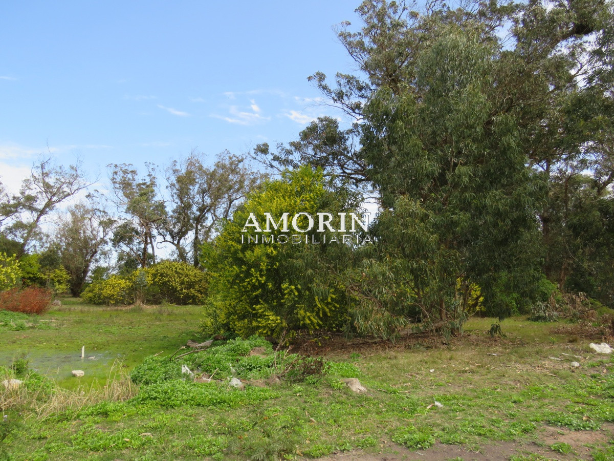Terreno ID.619 - TERRENO EN SANTA MONICA