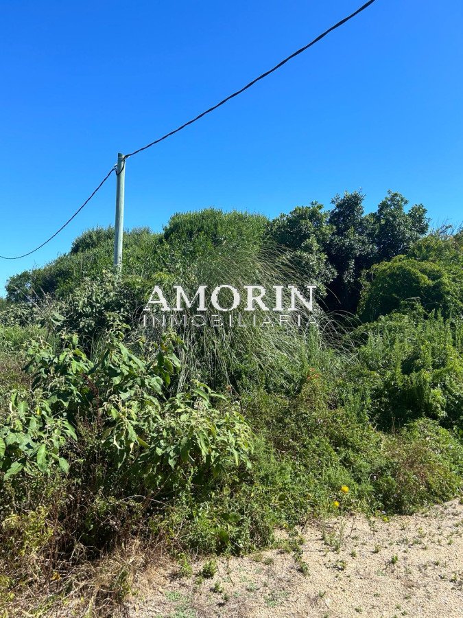 Terreno ID.788 - 3 terrenos en Santa Monica